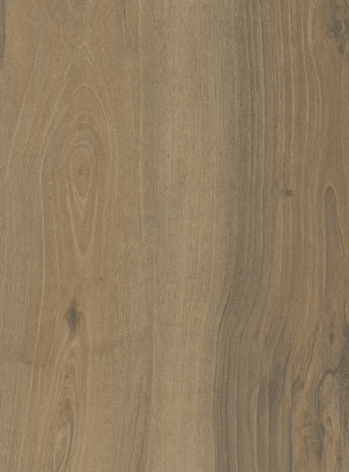 Toasted Walnut